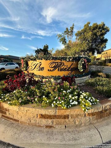 1439 Rock Dove, San Antonio, TX 78260