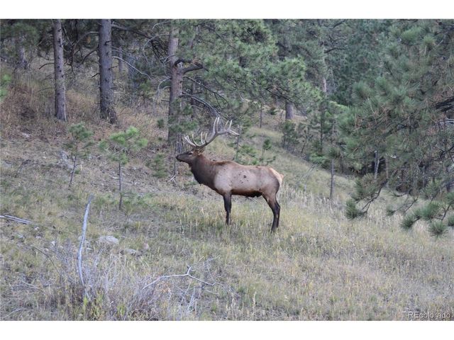 24037 Deer Valley Rd, Golden, CO 80401