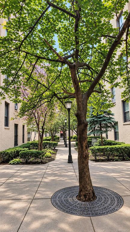 21-38 35th Street 2C, Astoria, NY 11105 — photo 2