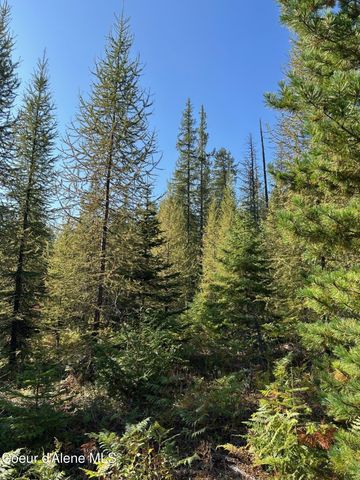 NKA Tract 7 2294, Clark Fork, ID 83811