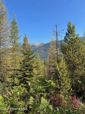 NKA Tract 7 2294, Clark Fork, ID 83811