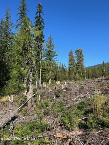 NKA Tract 7 2294, Clark Fork, ID 83811