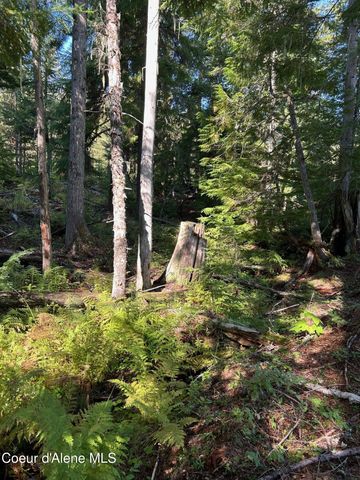 NKA Tract 7 2294, Clark Fork, ID 83811