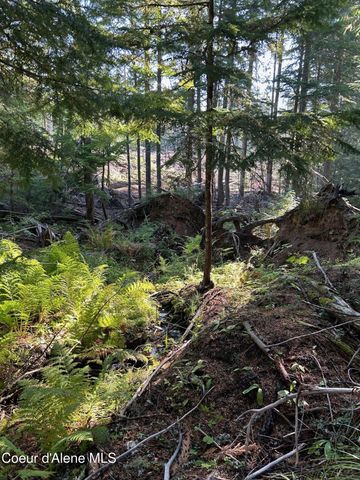 NKA Tract 7 2294, Clark Fork, ID 83811