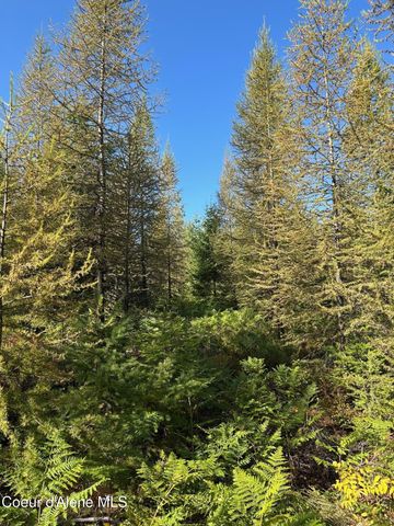 NKA Tract 7 2294, Clark Fork, ID 83811