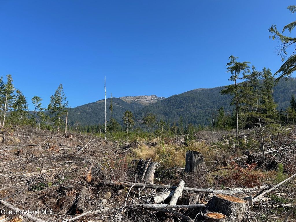 NKA Tract 7 2294, Clark Fork, ID 83811