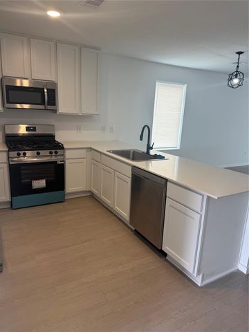 29023 Pearl Barley Way, Hockley, TX 77447