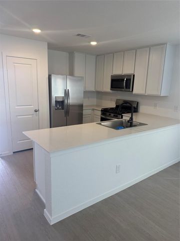 29023 Pearl Barley Way, Hockley, TX 77447