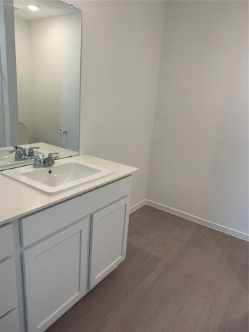 29023 Pearl Barley Way, Hockley, TX 77447