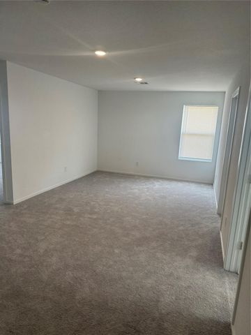 29023 Pearl Barley Way, Hockley, TX 77447