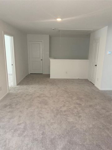 29023 Pearl Barley Way, Hockley, TX 77447