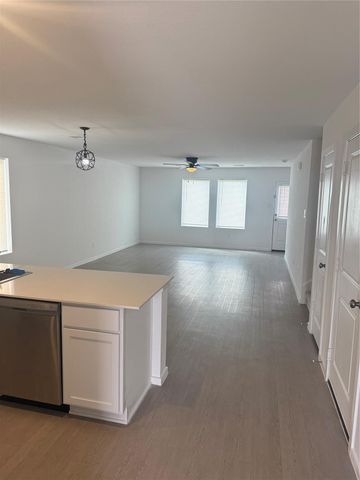 29023 Pearl Barley Way, Hockley, TX 77447