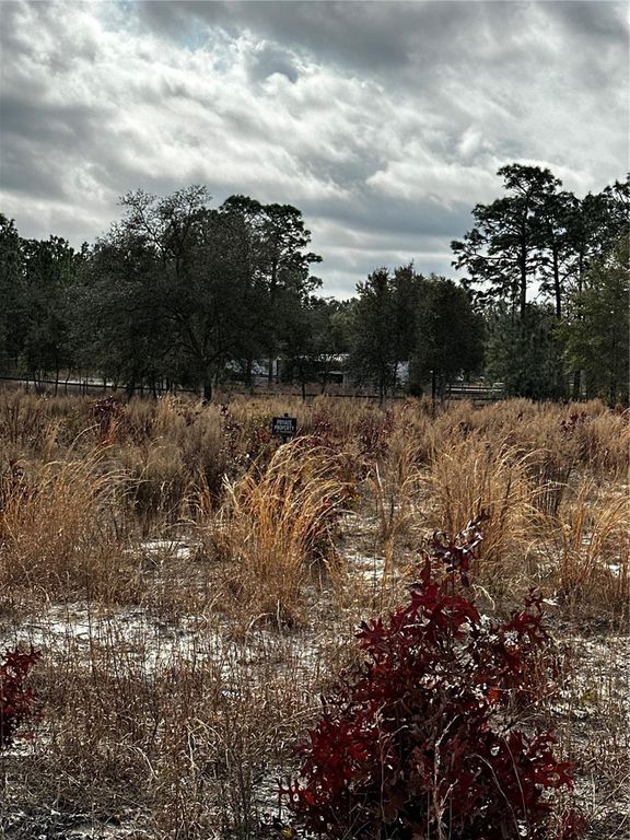 TBA SW 93RD PLACE, Dunnellon, FL 34432