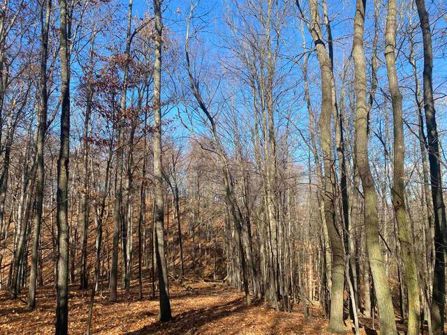 000 E Hammond, Traverse City, MI 49686