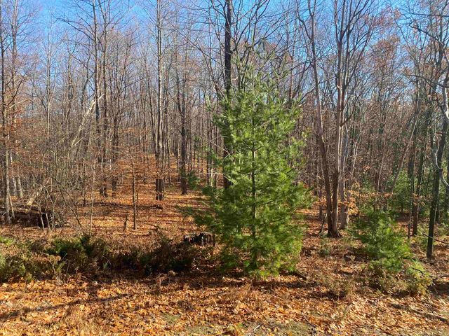 000 E Hammond, Traverse City, MI 49686