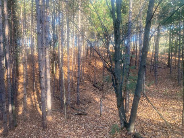 000 E Hammond, Traverse City, MI 49686