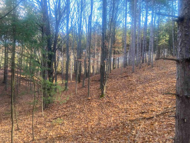 000 E Hammond, Traverse City, MI 49686