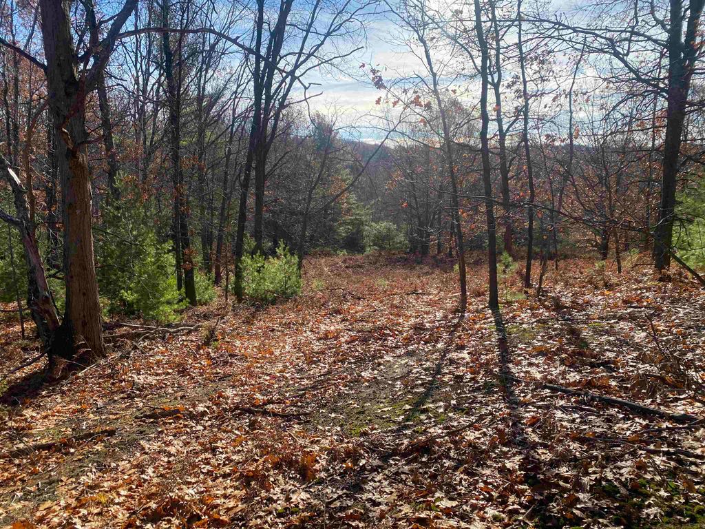 000 E Hammond, Traverse City, MI 49686