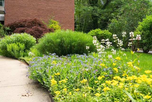 22 Chestnut Pl M3, Brookline, MA 02445