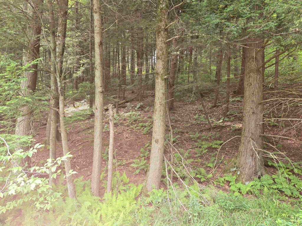 8 Bentley Lane, Jericho, VT 05465