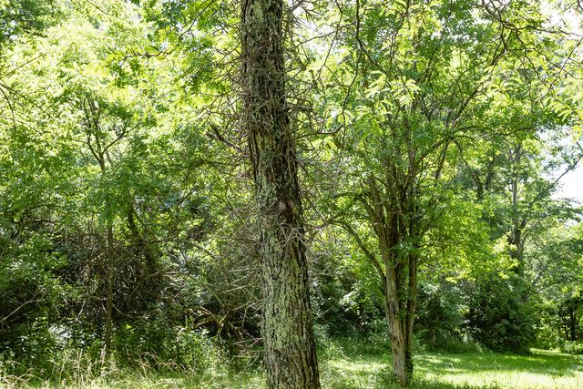399 Harlow Lane, Harrodsburg, KY 40330