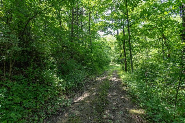 399 Harlow Lane, Harrodsburg, KY 40330