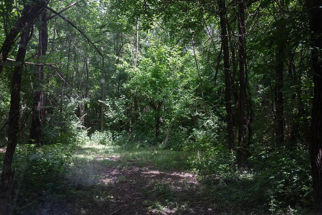 399 Harlow Lane, Harrodsburg, KY 40330