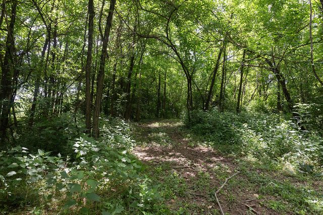 399 Harlow Lane, Harrodsburg, KY 40330