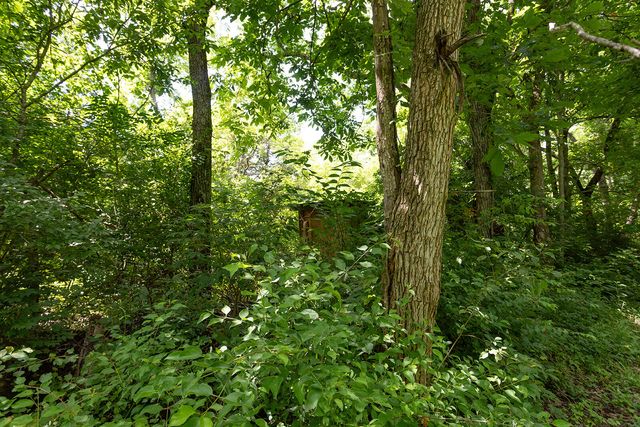 399 Harlow Lane, Harrodsburg, KY 40330