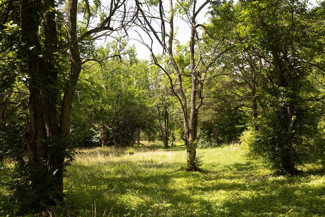 399 Harlow Lane, Harrodsburg, KY 40330