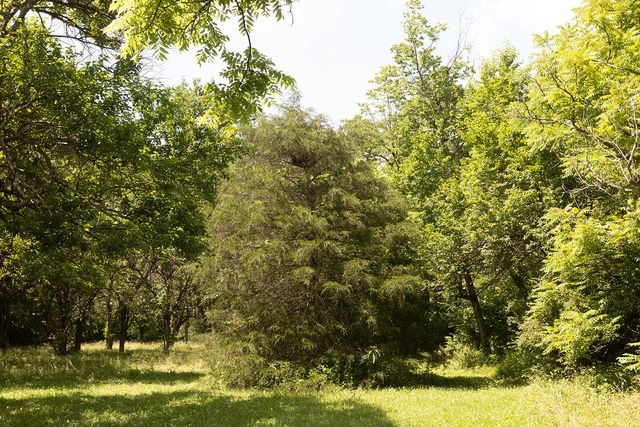 399 Harlow Lane, Harrodsburg, KY 40330