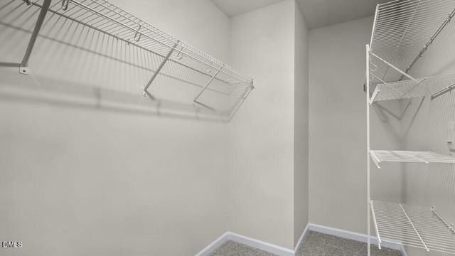 1309 Pavo Path, Wendell, NC 27591