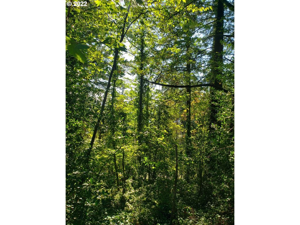 Sw Hewett Blvd, Portland, OR 97221