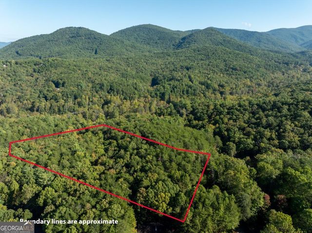 TRACT 1 Turniptown Road, Ellijay, GA 30536