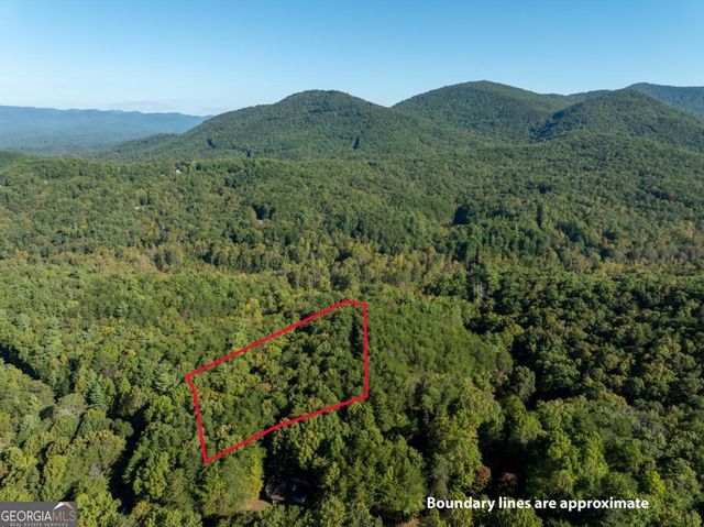 TRACT 1 Turniptown Road, Ellijay, GA 30536