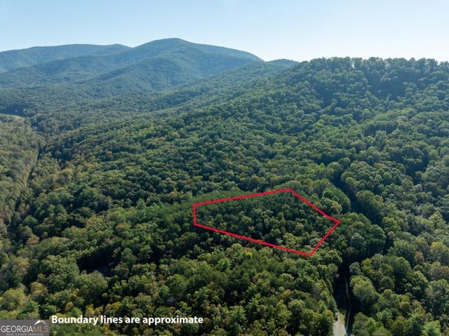 TRACT 1 Turniptown Road, Ellijay, GA 30536