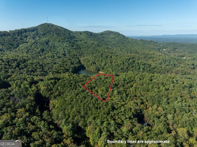 TRACT 1 Turniptown Road, Ellijay, GA 30536