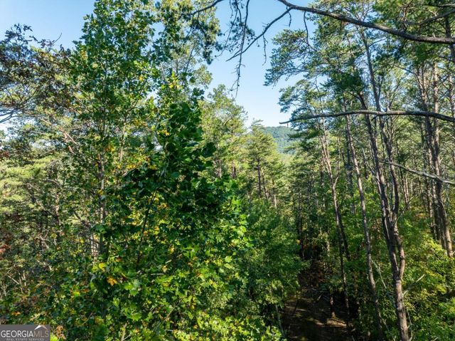 TRACT 1 Turniptown Road, Ellijay, GA 30536