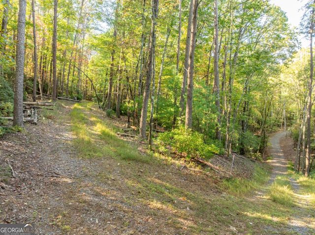 TRACT 1 Turniptown Road, Ellijay, GA 30536