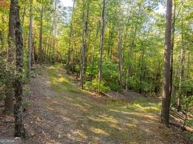 TRACT 1 Turniptown Road, Ellijay, GA 30536