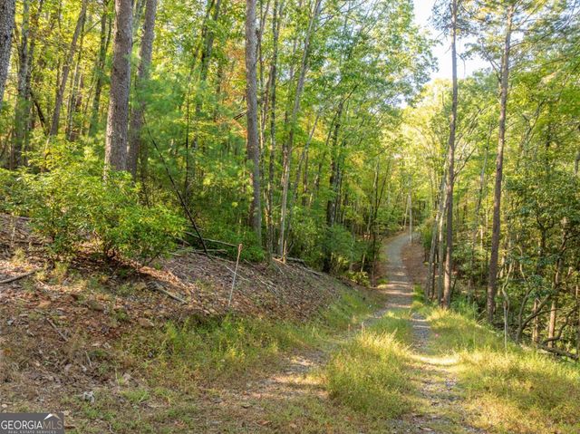 TRACT 1 Turniptown Road, Ellijay, GA 30536