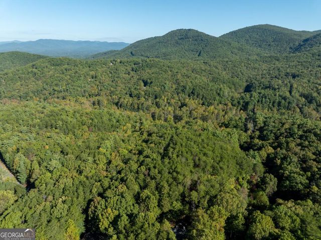 TRACT 1 Turniptown Road, Ellijay, GA 30536
