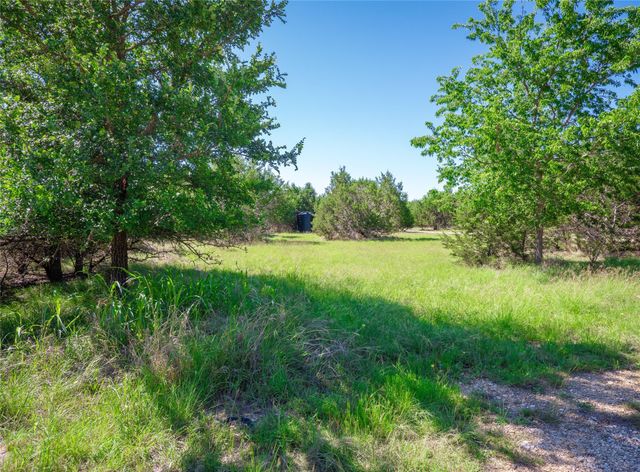 411 Avila LN, Briggs, TX 78608