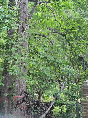 0 N Hampton Lot 2 Street, Summerville, SC 29485