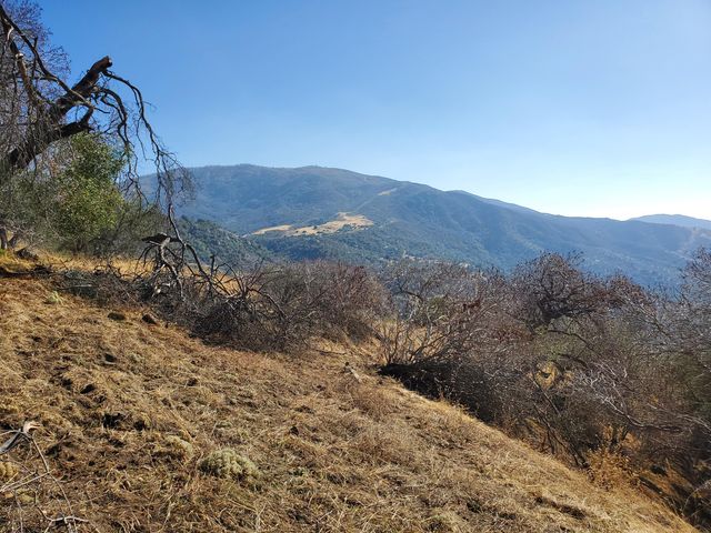 42555 Bear Creek Road, Springville, CA 93265