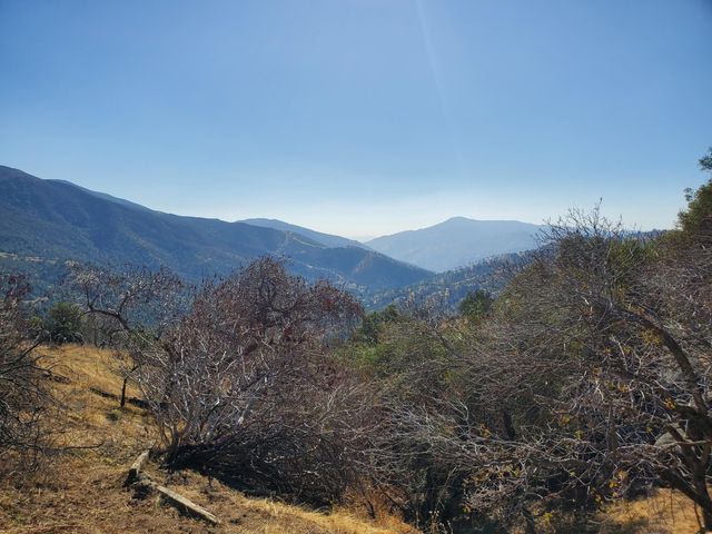 42555 Bear Creek Road, Springville, CA 93265