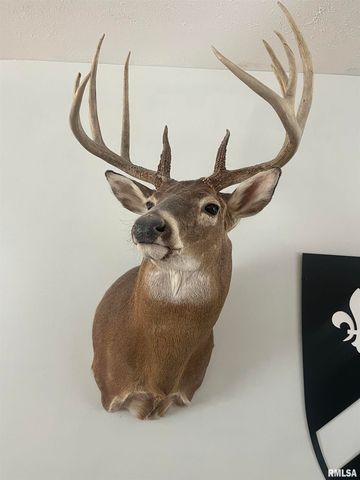 2814 Chouteau Avenue, Odin, IL 62870