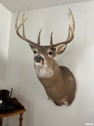 2814 Chouteau Avenue, Odin, IL 62870