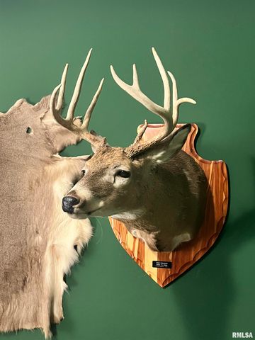 2814 Chouteau Avenue, Odin, IL 62870