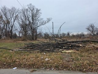 528 Adeline Street, Detroit, MI 48203